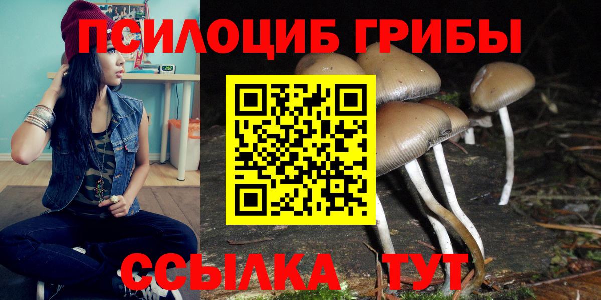 Псилоцибиновые грибы GOLDEN TEACHER Ржев