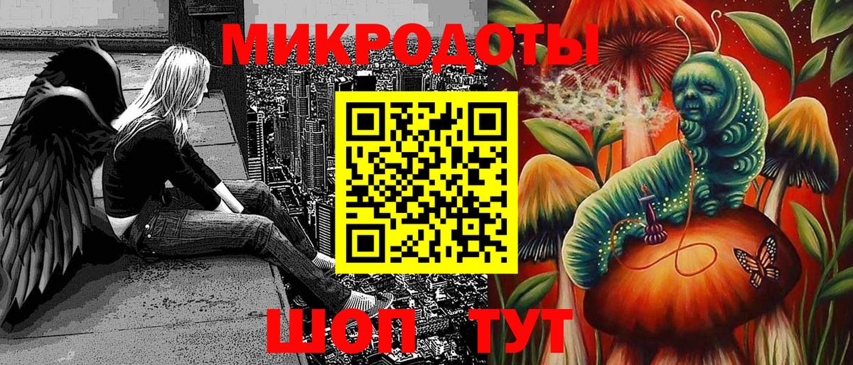 Ржев  Галлюциногенные грибы Psilocybine cubensis  Галлюциногенные грибы прущие грибы  Вход с VPN 